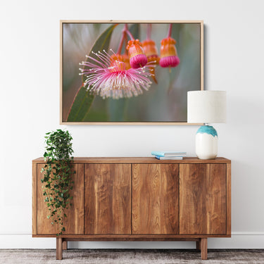 Coastal Banksia flower duo framed canvas print styled in a neutral interior