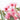 Australian pink flowering gum photography print detail