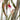 Australian Bush 2 photography print detail view