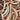 Dried Wattle leaves photography detail view