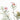 Geraldton Wax flowers botanical photography print detail view