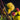 Illyarrie flower photography print detail view