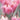 Pink ironbark flower photography print closeup view