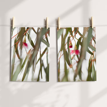 Print set: 'Australian Bush' set of 2 prints