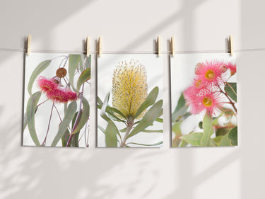Print set: 'Native garden 2' set of 3