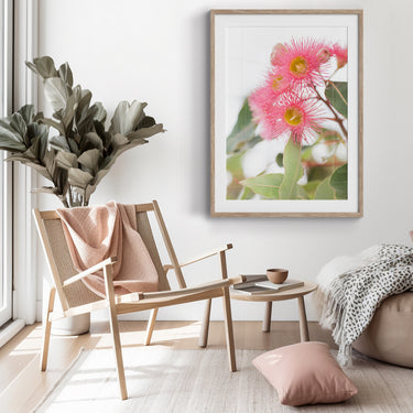 Framed: Pink corymbia (flowering gum) 2
