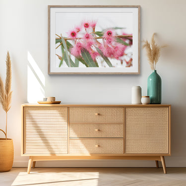 Framed: Eucalyptus leucoxylon (South Australian Blue Gum)
