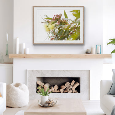 Framed: Eucalyptus macrandra and bee