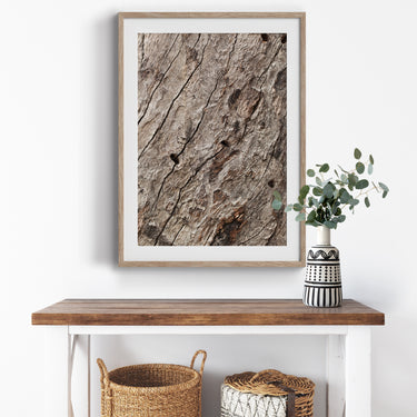 Framed: Aged timber (Eucalyptus platypus)