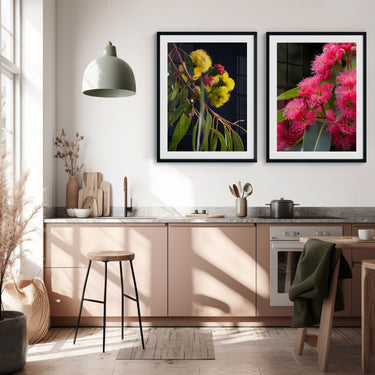 Framed: Red Corymbia ficifolia (flowering gum)