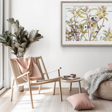 Framed: Eucalyptus macrandra and honeyeater