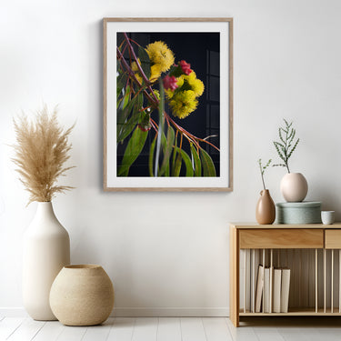 Framed: Eucalyptus erythrocorys (Illyarrie)