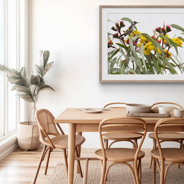 Framed: Illyarrie and honeyeater