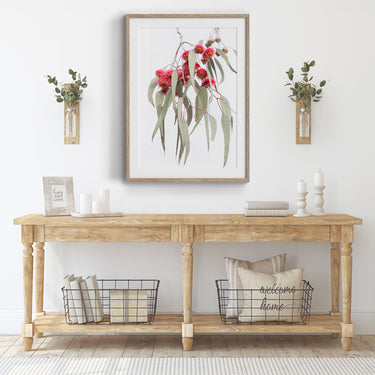 Framed: Eucalyptus caesia cluster