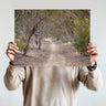 Australian bush landscape premium photography print by Australian Flora