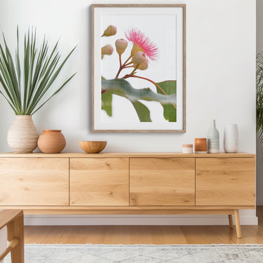 Framed: Pink corymbia (flowering gum) 1