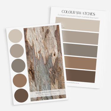 Palette Set: Eucalyptus Bark