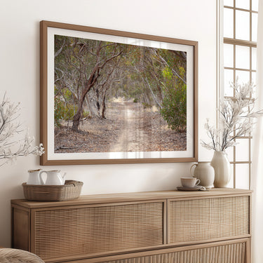 Neutral Australian bush wall art photography prints by Australian Flora