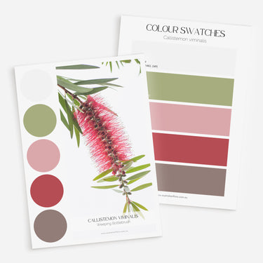 Palette Set: Native Garden
