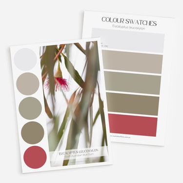 Palette Set: Australian Bush