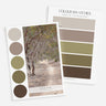Color swatches inspired by the Australian bush with a photo of a tree and color samples on a white background.