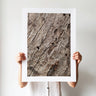 Aged eucalyptus timber photography print by Australian Flora