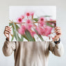 Pink flowering gum photography print by Australian Flora
