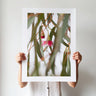 Australian Bush 1 photography print by Australian Flora