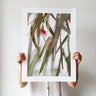 Australian Bush 2 photography print