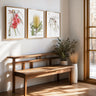 Coral gum flowers, Banksia flower and gum nuts botanical photography set of 3 prints in a modern Australian interior