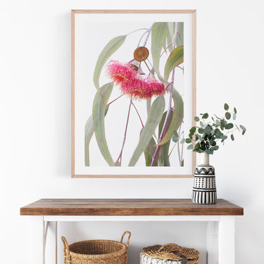 Red eucalyptus blossoms and gum leaves botanical wall art by Australian Flora