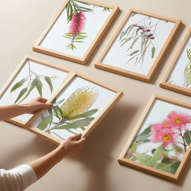 Banksia and Australian native flowers set of 6 prints