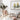 Banksia botanical photography framed artwork styled in a modern boho interior