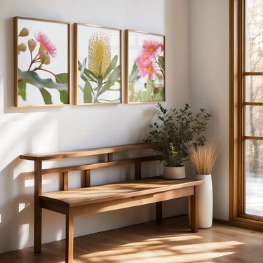 Banksia and pink eucalyptus flowers wall art set of 3 prints