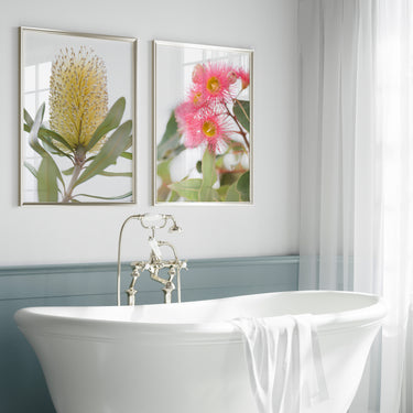 Print set: Banksia and Flowering gum