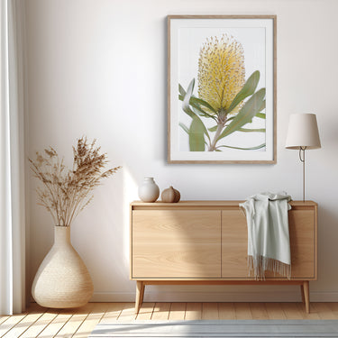 Framed: Coastal banksia