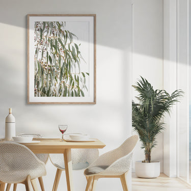 Framed: South Australian Blue gum leaves