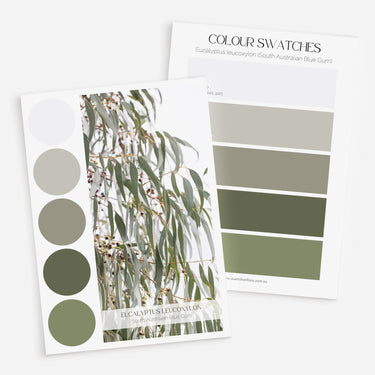 Palette Set: Eucalyptus