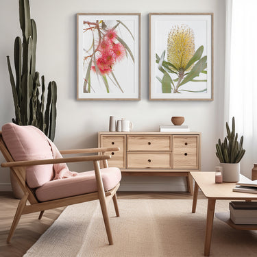 Framed: Eucalyptus torquata (Coral gum) 2