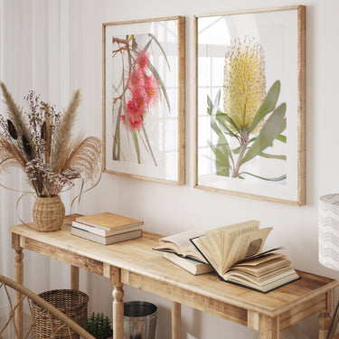 Print set: Coral gum and Banksia flowers