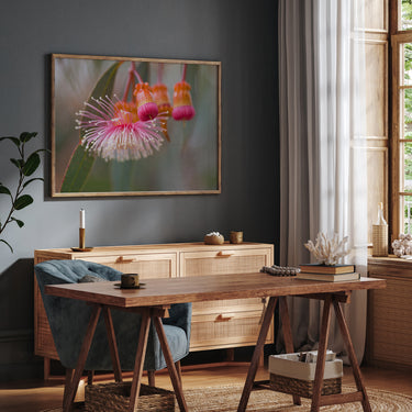 Coral gum photography print wall art in a neutral interior
