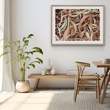 Framed: Dried Wattle leaves (Acacia pycnantha)