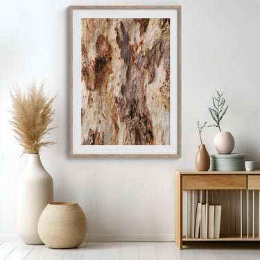 Framed: Sugar gum bark (Eucalyptus cladocalyx)