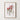 Framed: Eucalyptus caesia cluster