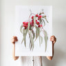 Eucalyptus blossoms botanical photography print by Australian Flora