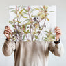 Eucalyptus and honeyeater photography print by Australian Flora