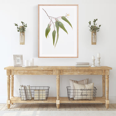Eucalyptus leaves botanical photography print in Australian country interior