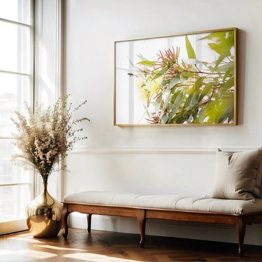 Yellow eucalyptus flowers and bee photography print in a frame in a modern Australian interior