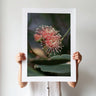 Salmon pink eucalyptus flowers photography print by Australian Flora
