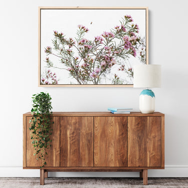 Canvas: Geraldton Wax flowers and bee